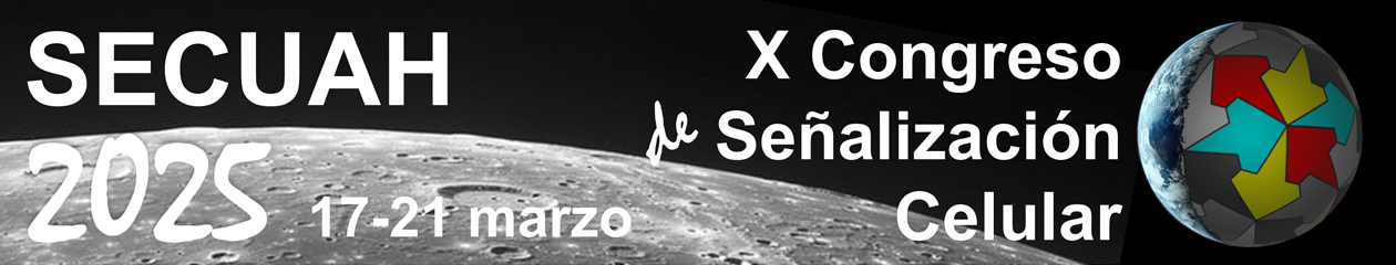 SECUAH 2025