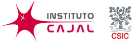 Instituto Cajal